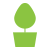 Entretien des arbres